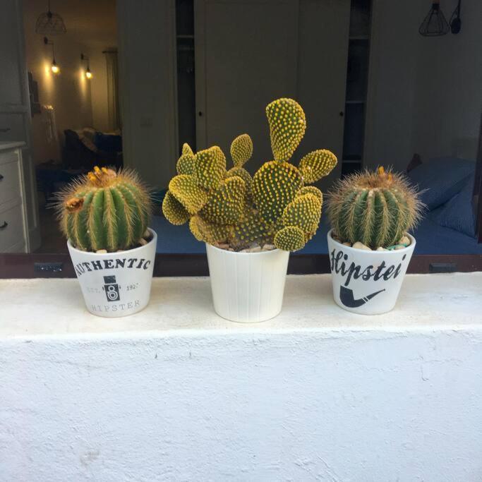Vivienda Vacacional Cactus Costa Teguise Kültér fotó